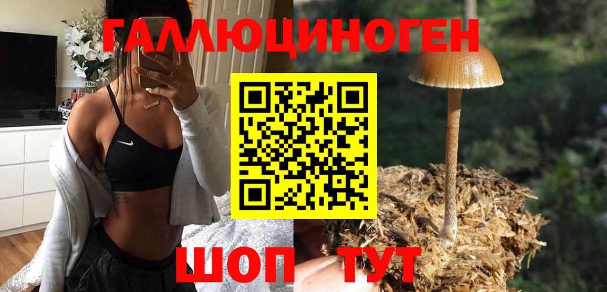 Псилоцибиновые грибы Magic Shrooms Приморско-Ахтарск